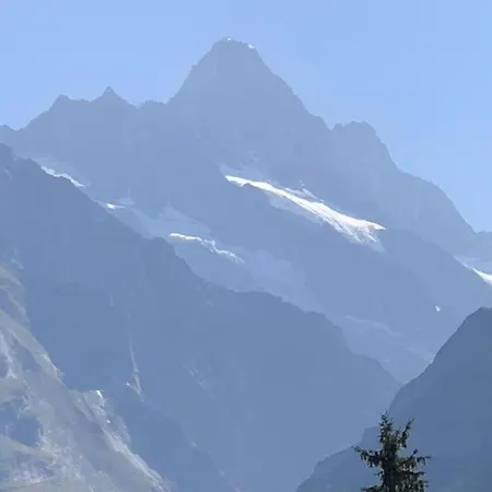Ferienhaus Chaletswissalp Topof By Interhome