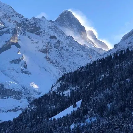 Chaletswissalp Topof By Interhome Hébergement de vacances Grindelwald