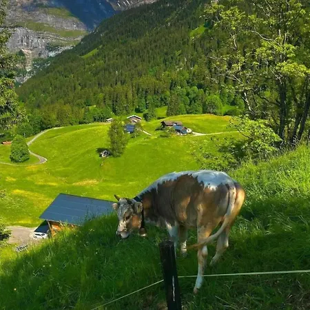 Chaletswissalp Topof By Interhome