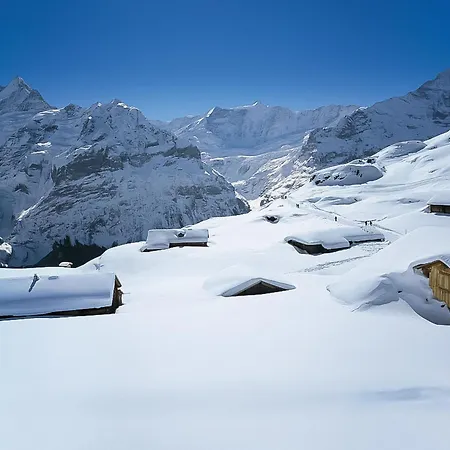 Ferienhaus Chaletswissalp Topof By Interhome Grindelwald